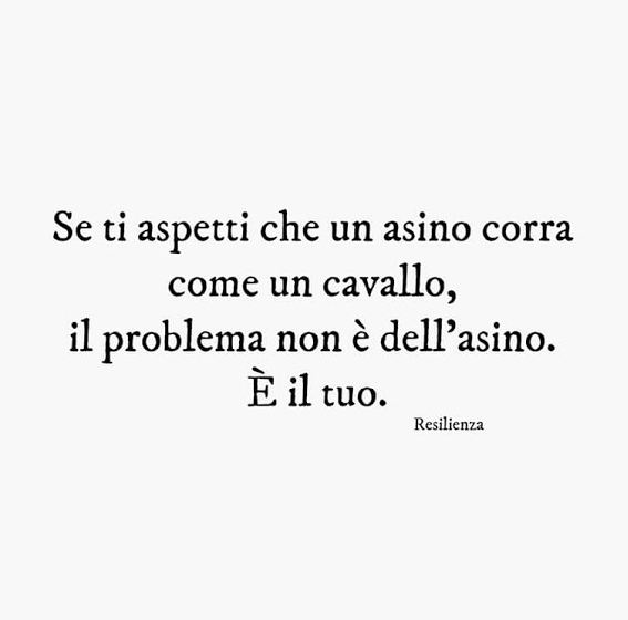 Realizzazione social network didattici Realizzazione social network didattici